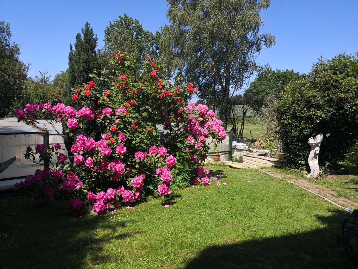Au Jardin Fleuri Bed & Breakfast Secondigny ภายนอก รูปภาพ